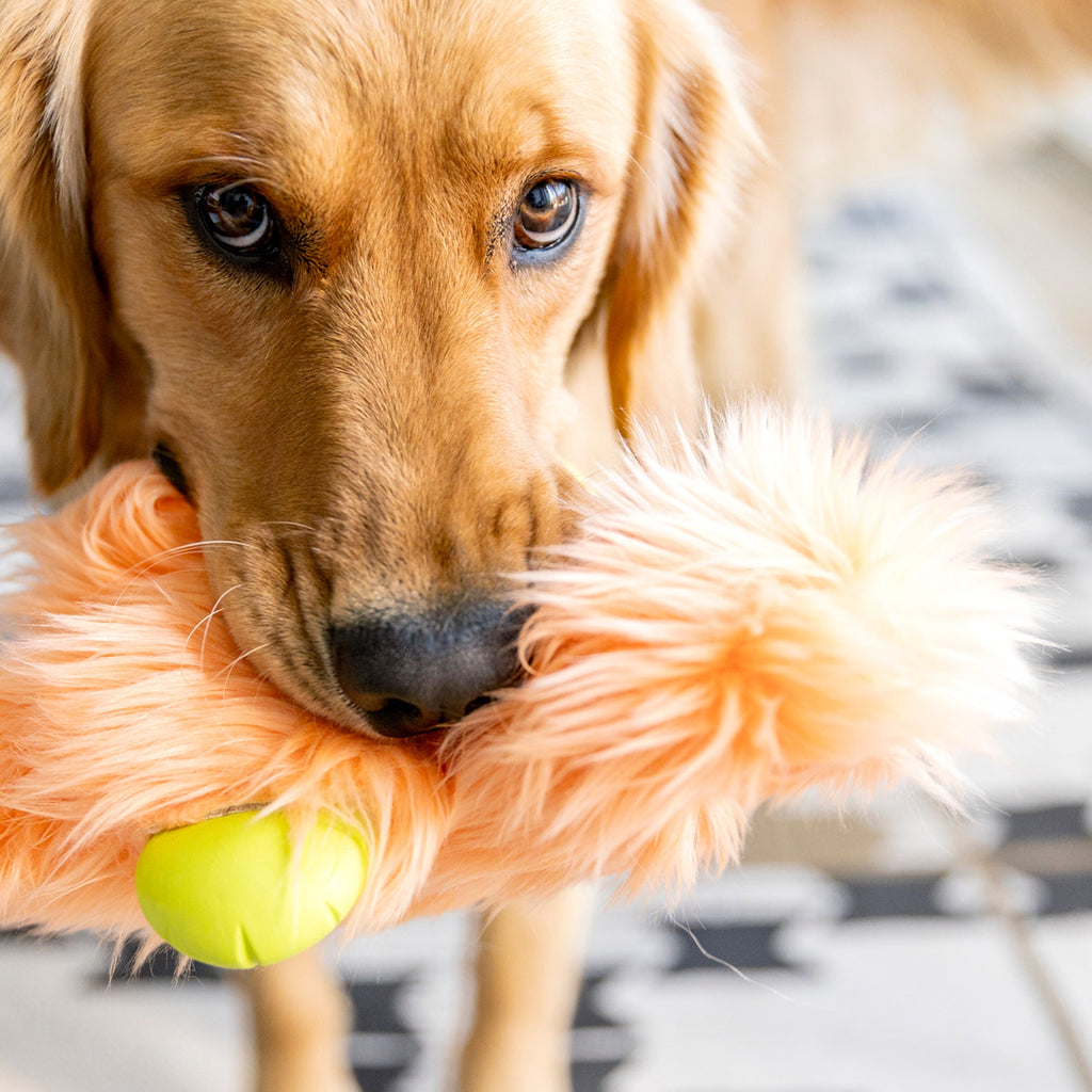 Rowdies Durable Plush Dog Toy for Active Chewers