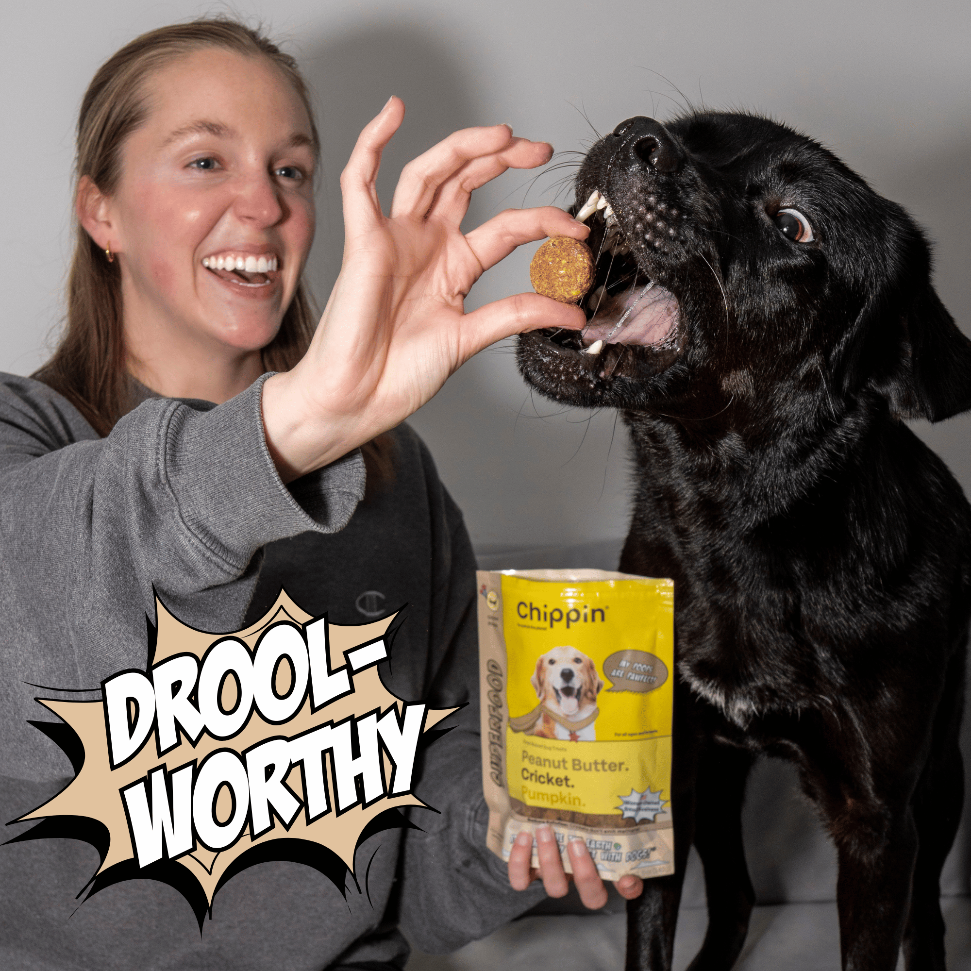 Oven-Baked Cricket Protein Dog Treats with Pumpkin & Oats