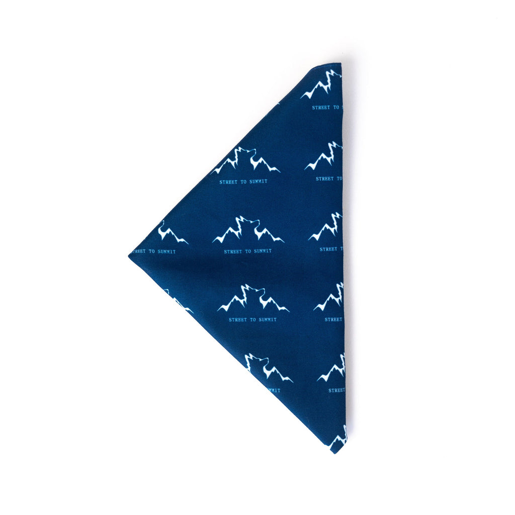 48-Inch Silky Pet Bandana, Machine Washable