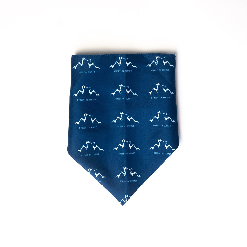 48-Inch Silky Pet Bandana, Machine Washable