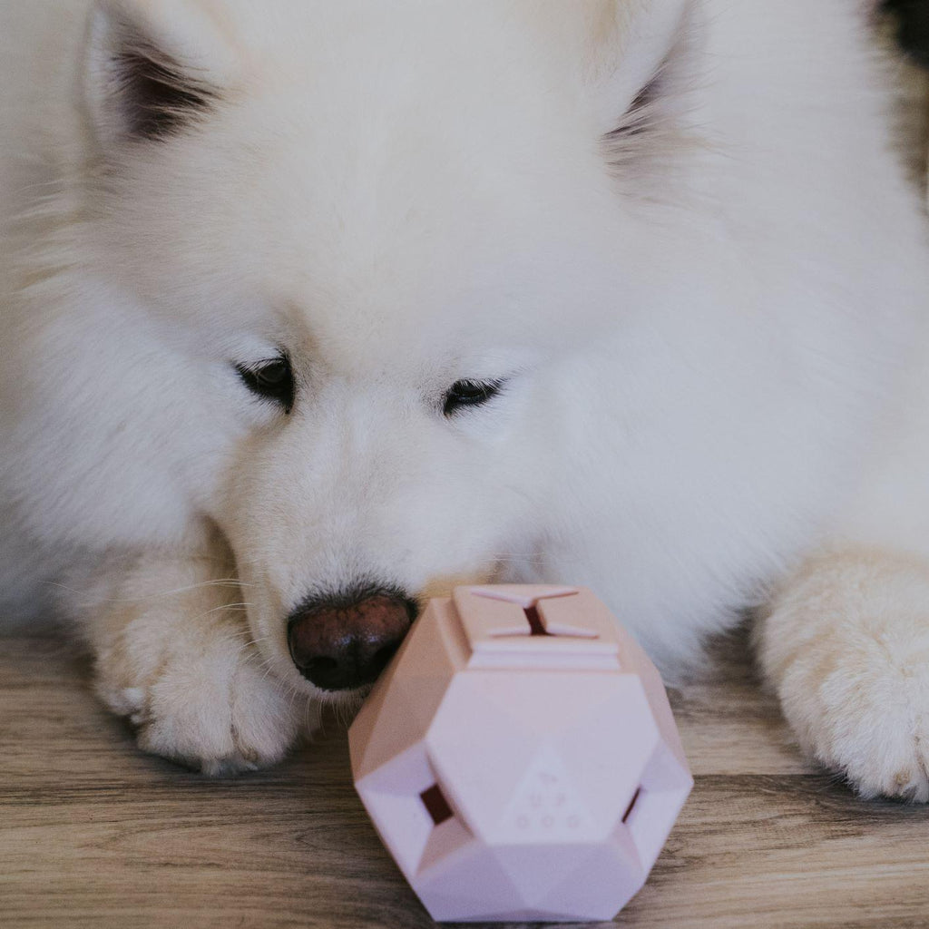 Odin Dog Puzzle Toy – Interactive Treat Dispenser and Slow Feeder