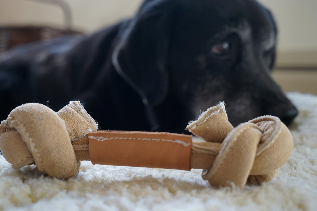 Huggle-Hide Natural Rawhide-Free Dog Bone with Cotton Rope Core