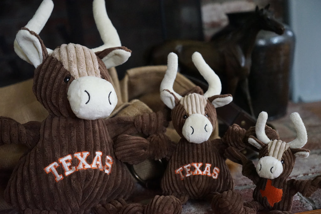 Texas Plush Dog Toy with Knotted Limbs and Squeakers