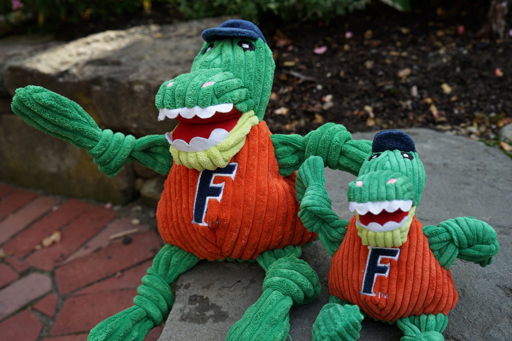 University of Florida Albert Gator Knottie Plush Dog Toy