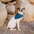 48-Inch Silky Pet Bandana, Machine Washable