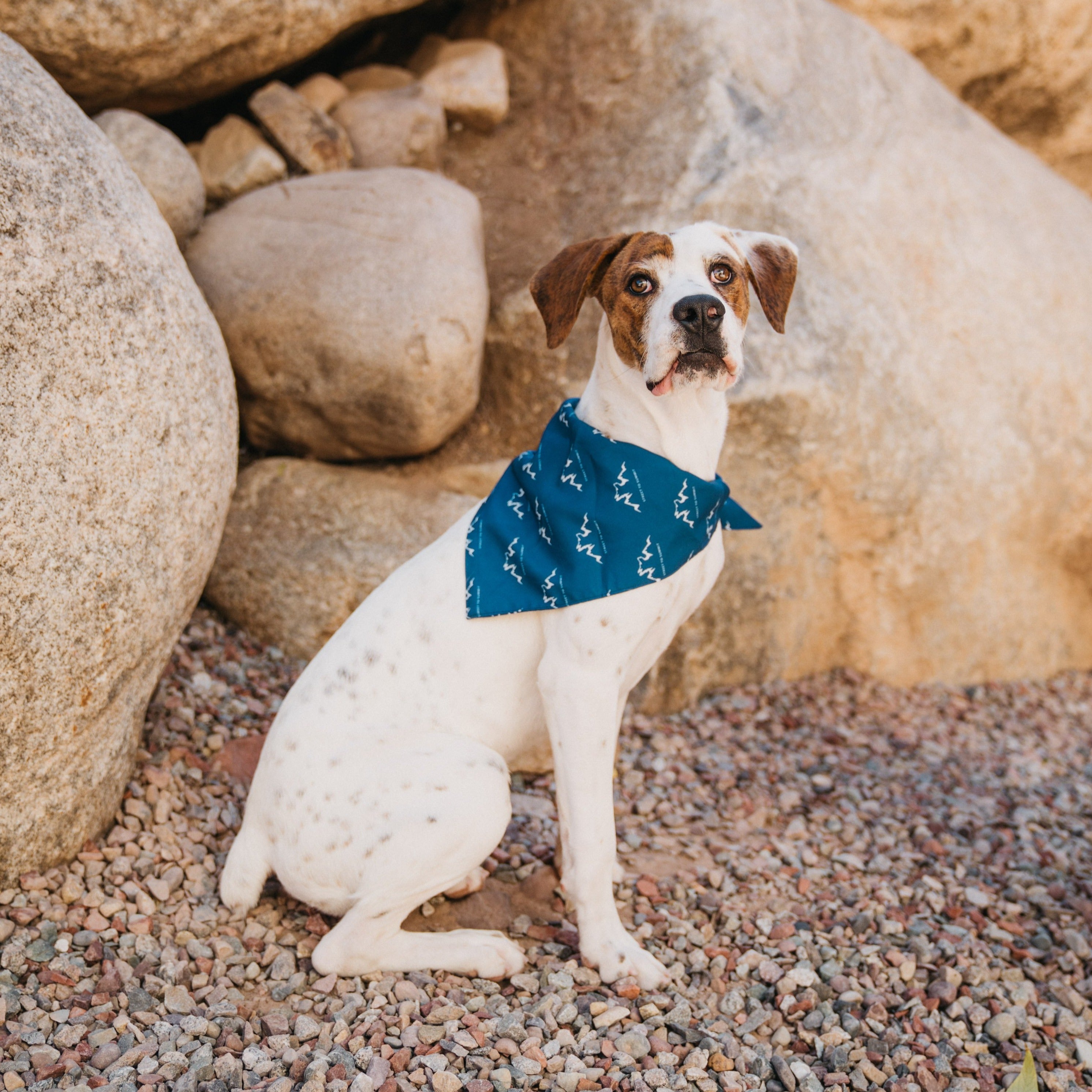 48-Inch Silky Pet Bandana, Machine Washable