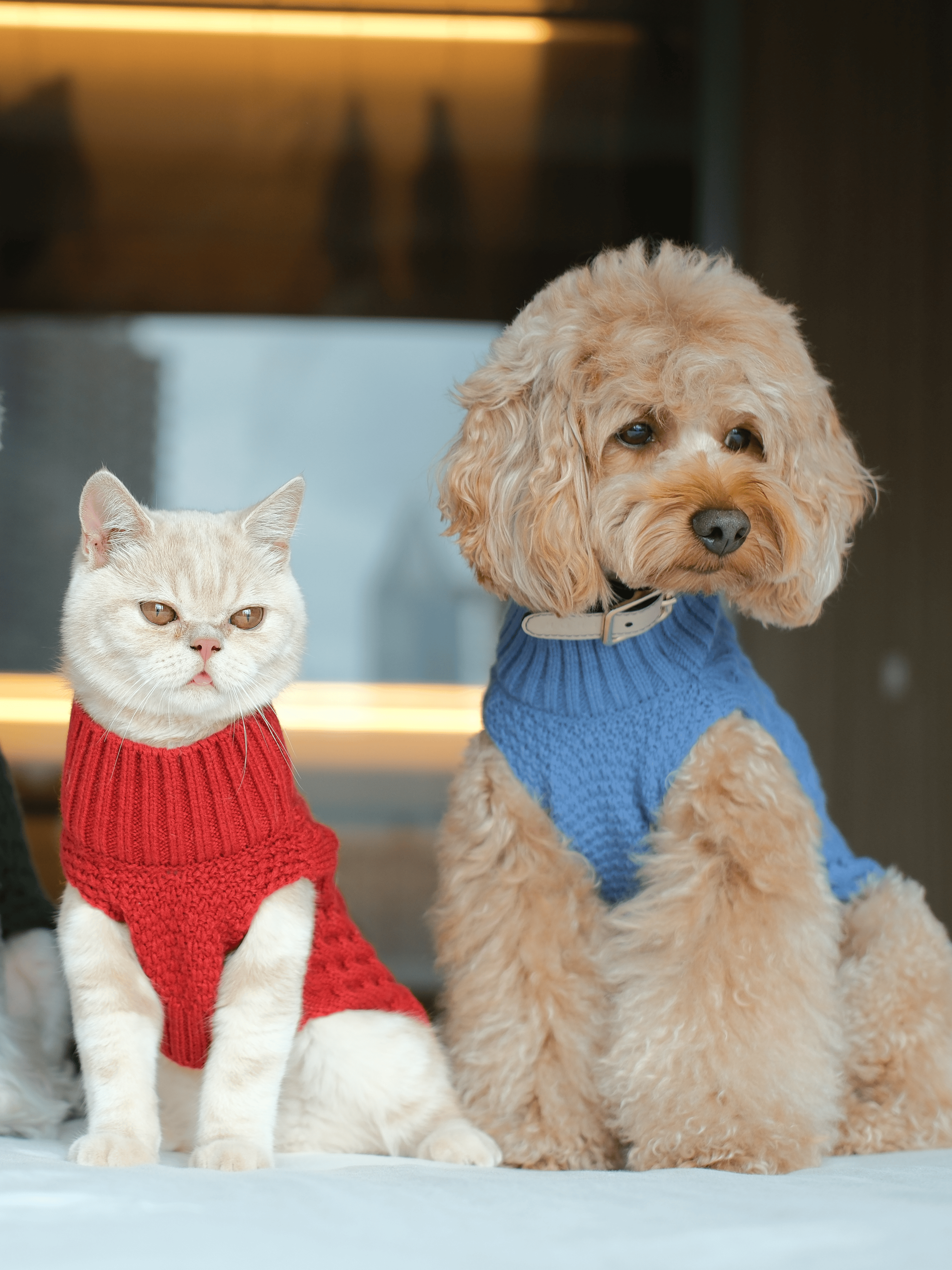 Knit Pet Sweater in Breathable Acrylic Fiber
