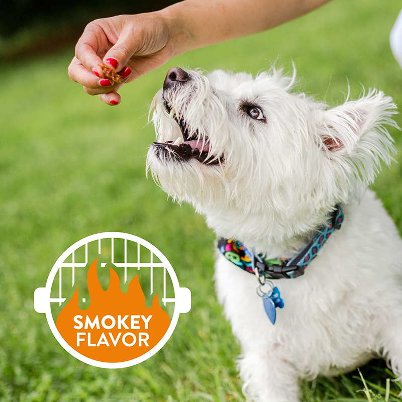 Chicken Hip & Joint Chews for Active Dogs