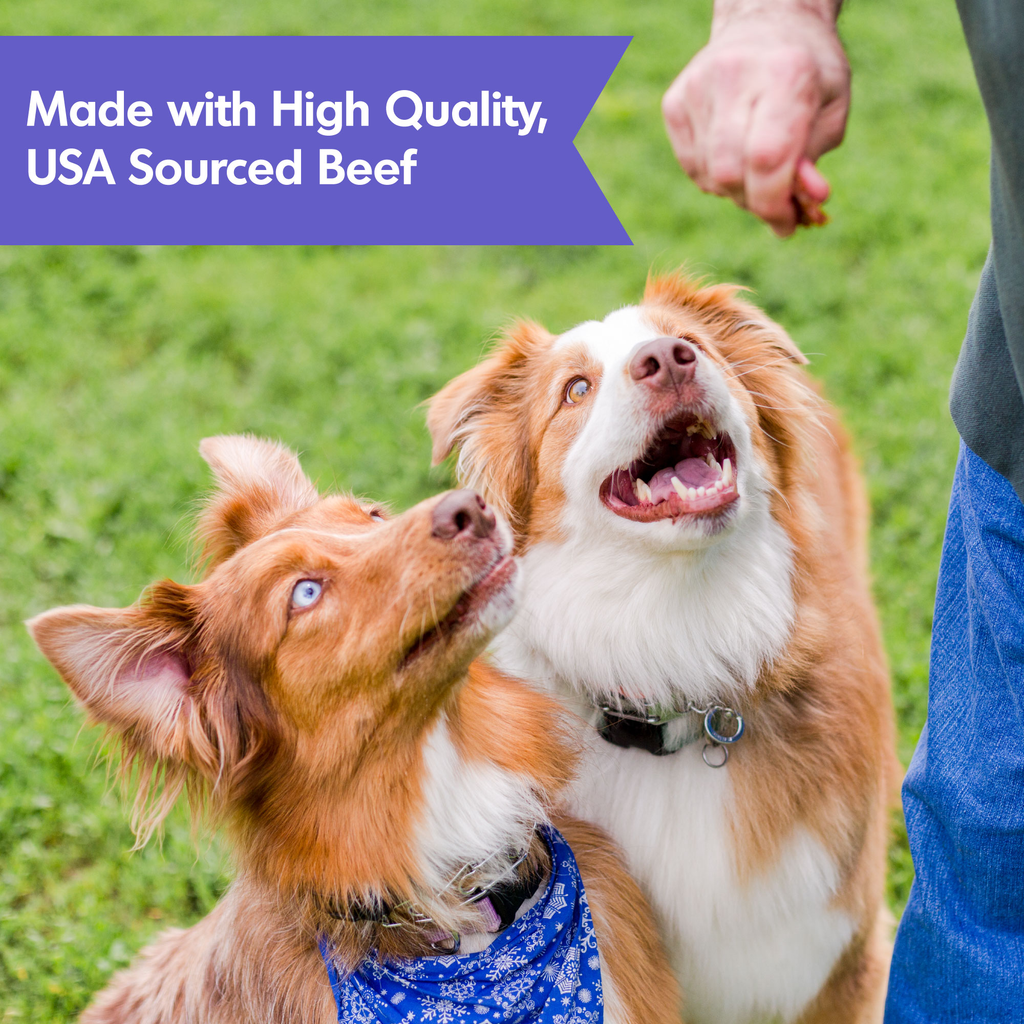 Beef Jerky Dog Treats with Glucosamine and Chondroitin