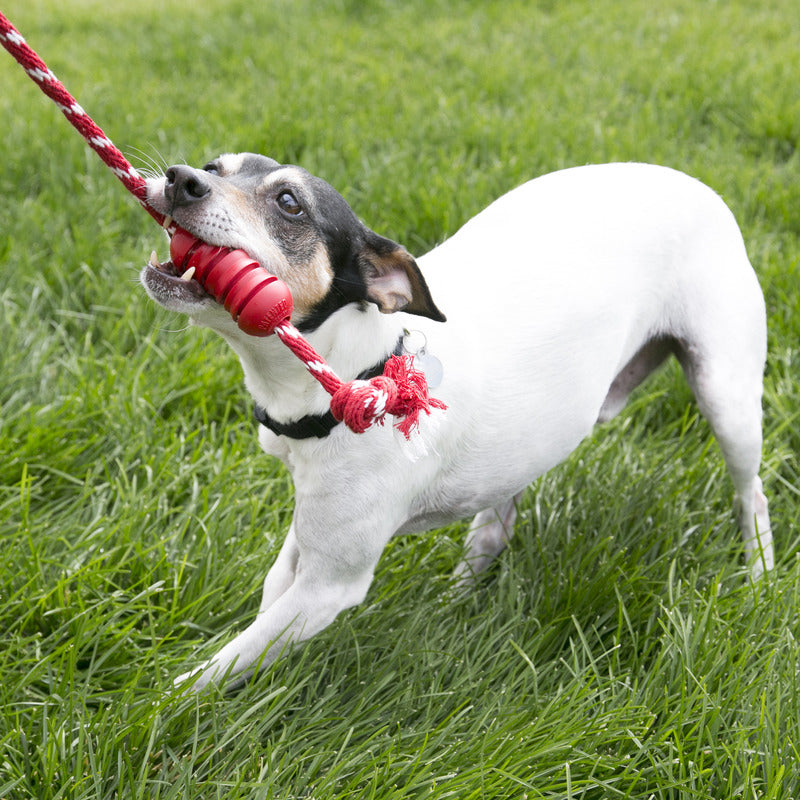 KONG Dental Dog Toy with Rope for Chewing and Tugging