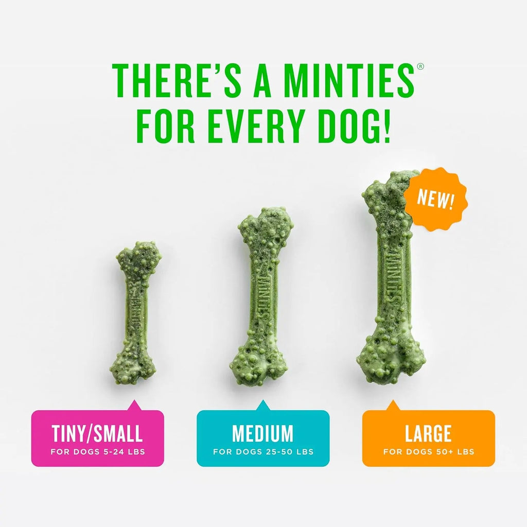 Minties Dental Dog Treats for Medium & Large Dogs 50 lbs+