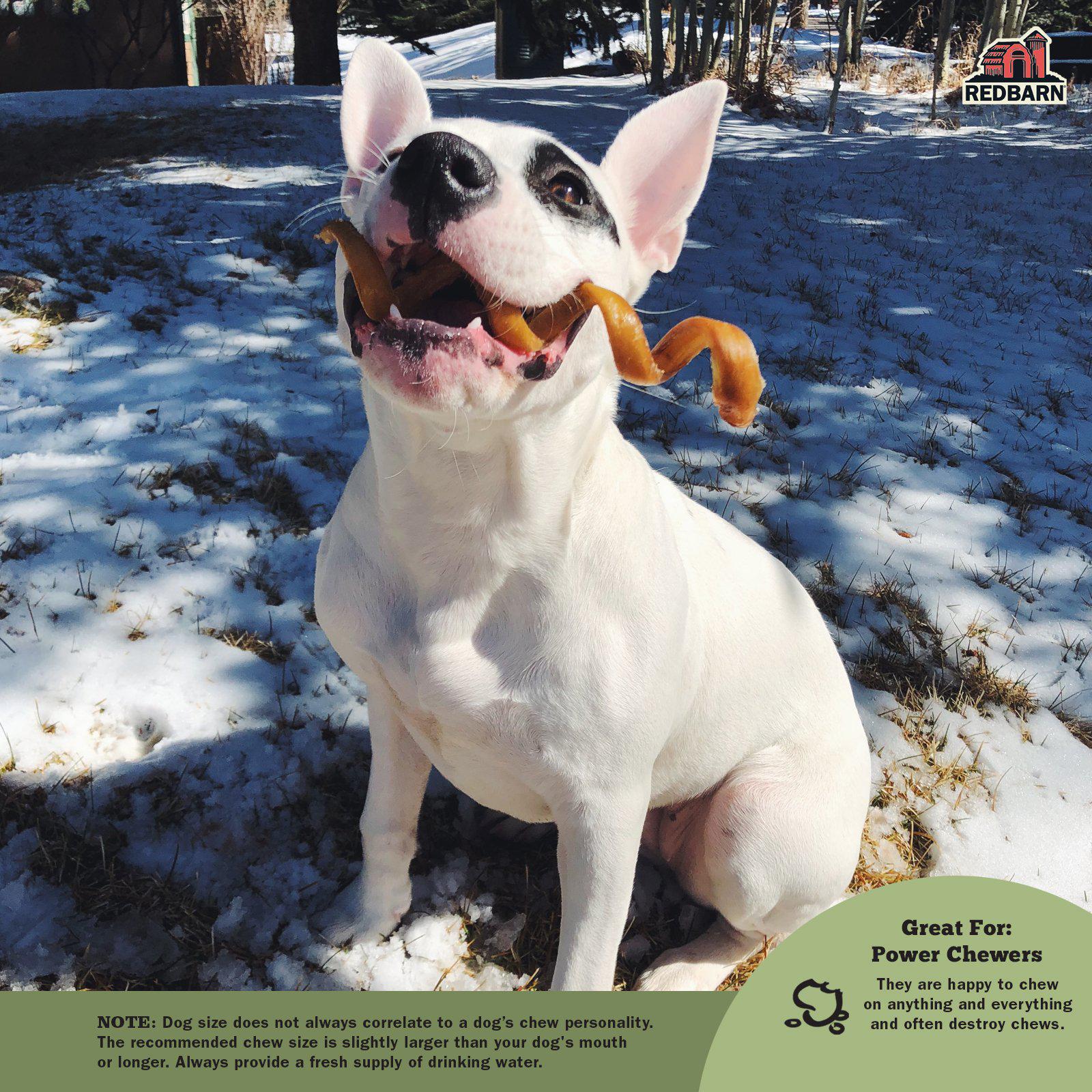 All-Natural Beef Bully Sticks Dog Chews, Variety Shapes