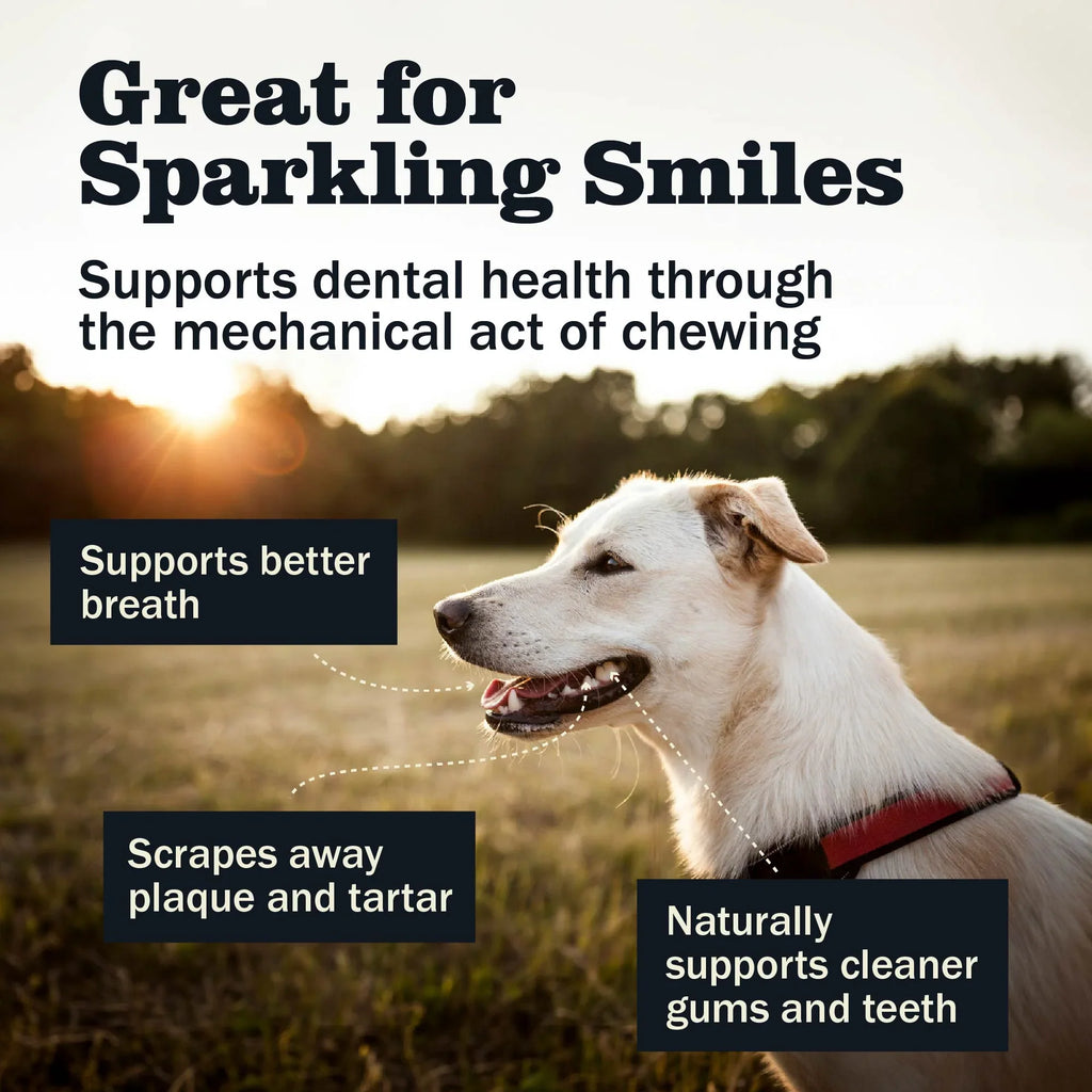 All-Natural Beef Bully Sticks Dog Chews, Variety Shapes