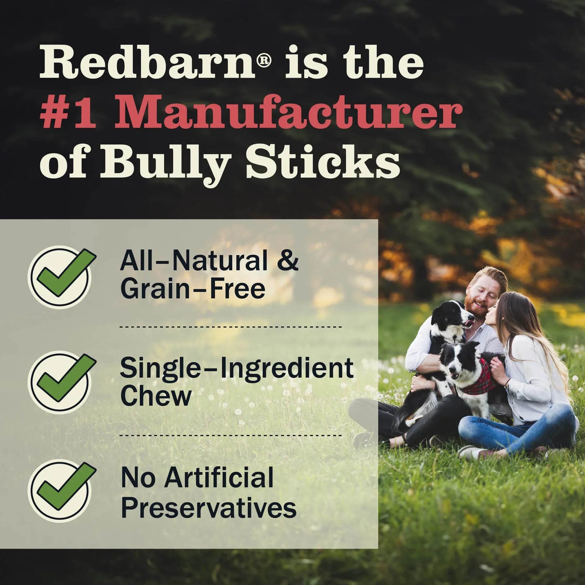 All-Natural Beef Bully Sticks Dog Chews, Variety Shapes