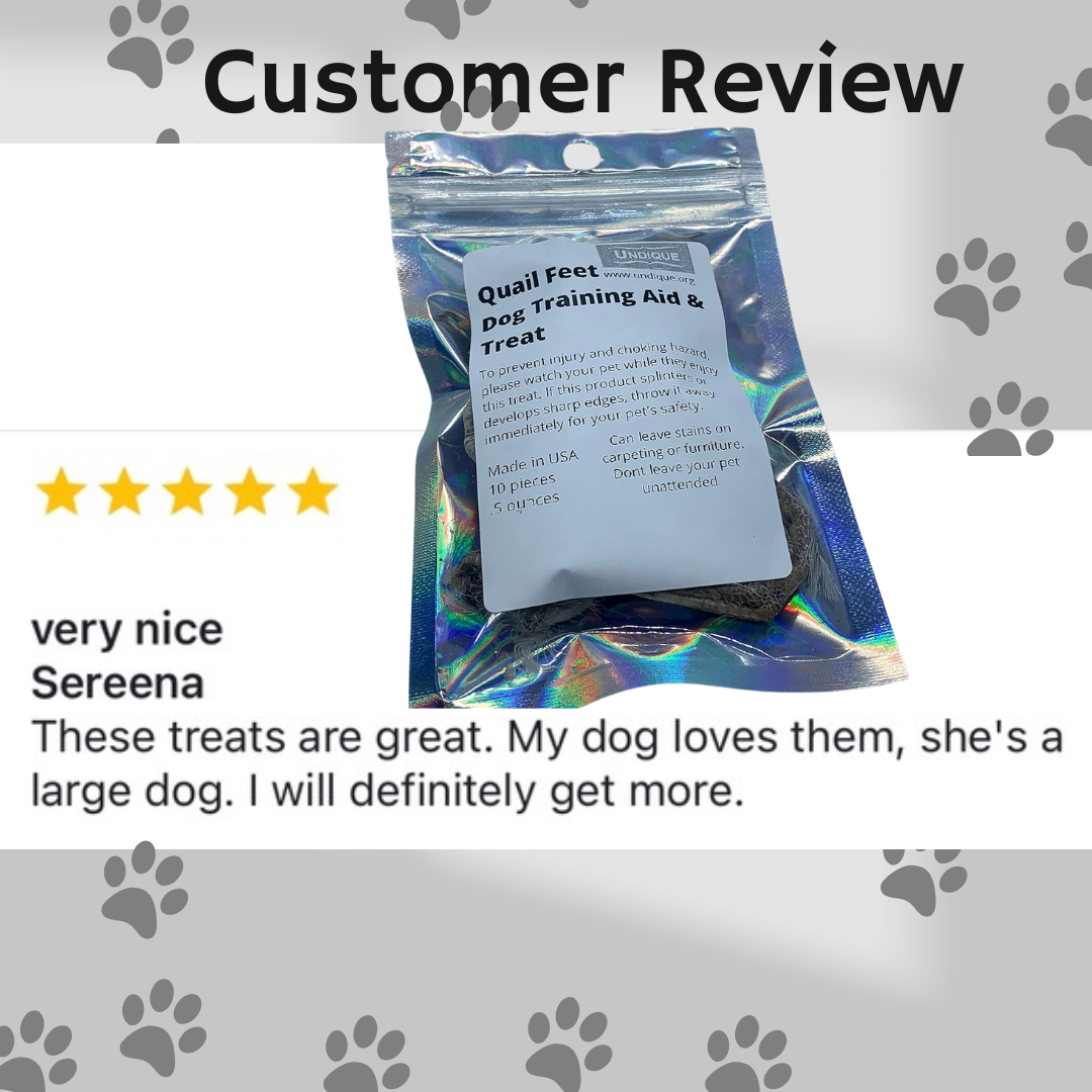 Quail Feet Dog Training Aid & Natural Treat