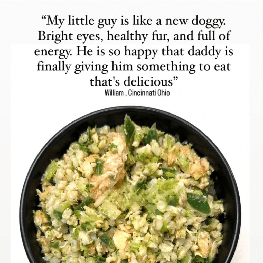 Sensational Salmon Dog Food with Brown Rice & Vegetables, 24 x 8oz Meals