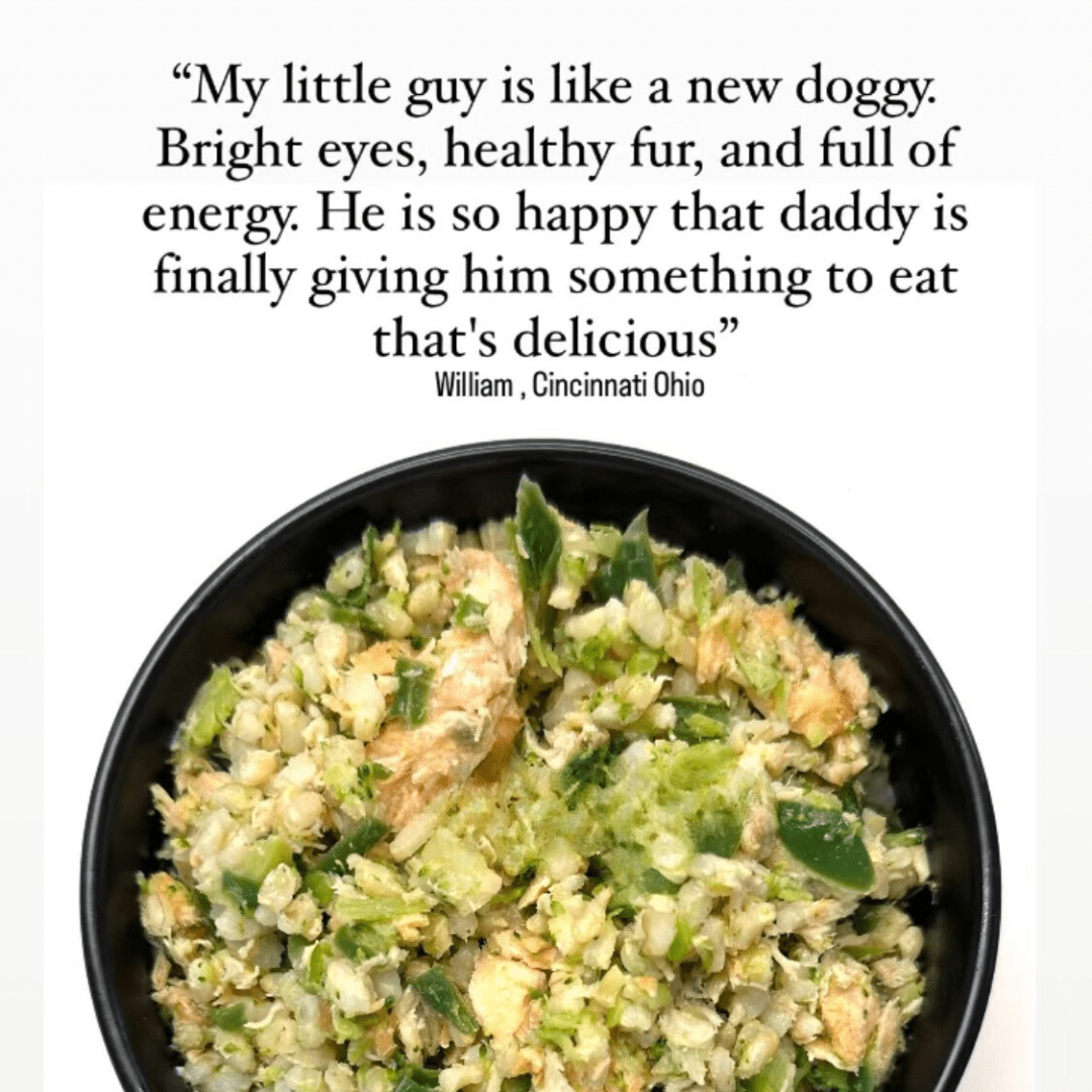 Sensational Salmon Dog Food with Brown Rice & Vegetables, 24 x 8oz Meals