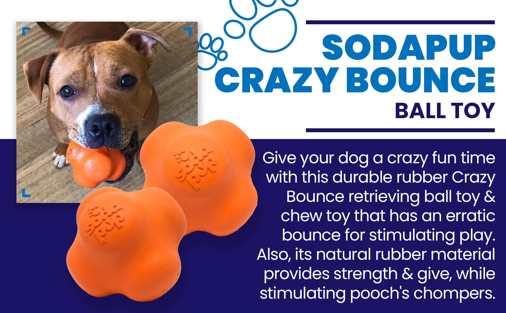 Crazy Bounce Solid Rubber Chew & Fetch Ball for Large Dogs