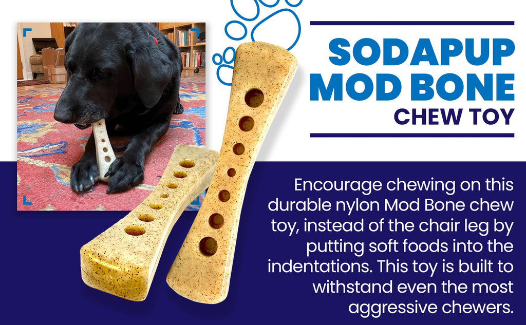 MOD Bone Ultra Durable Nylon Dog Chew Toy, 7.5" for Aggressive Chewers
