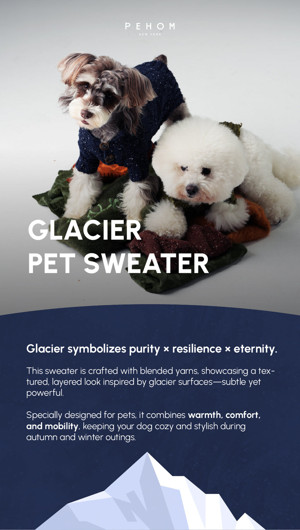 High-Neck Textured Knit Dog Sweater with Chest Buttons