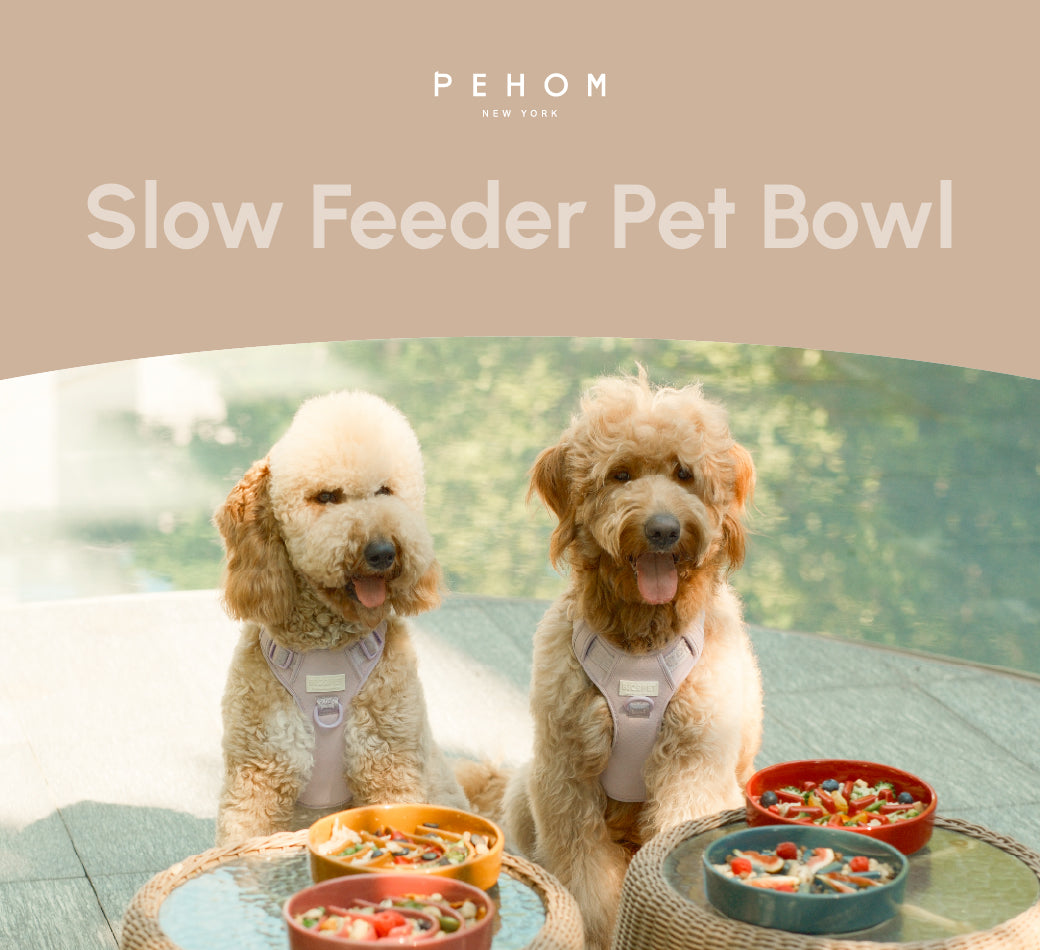 Ceramic Dog Bowl with Non-Slip Base and Optional Wooden Stand