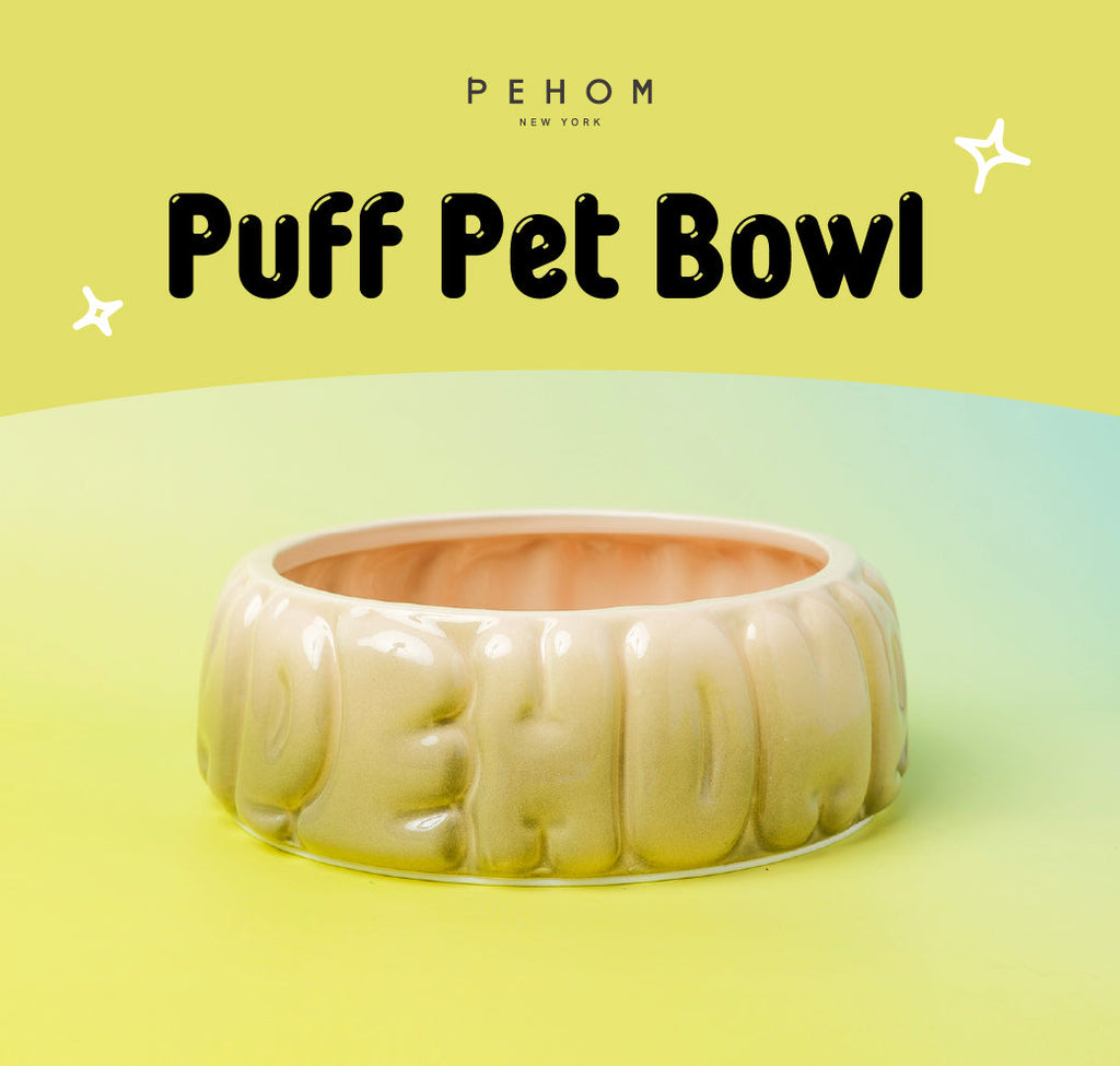 Ceramic Pet Bowl with Spill-Proof Rim, Olive Gradient, 25.4 fl oz