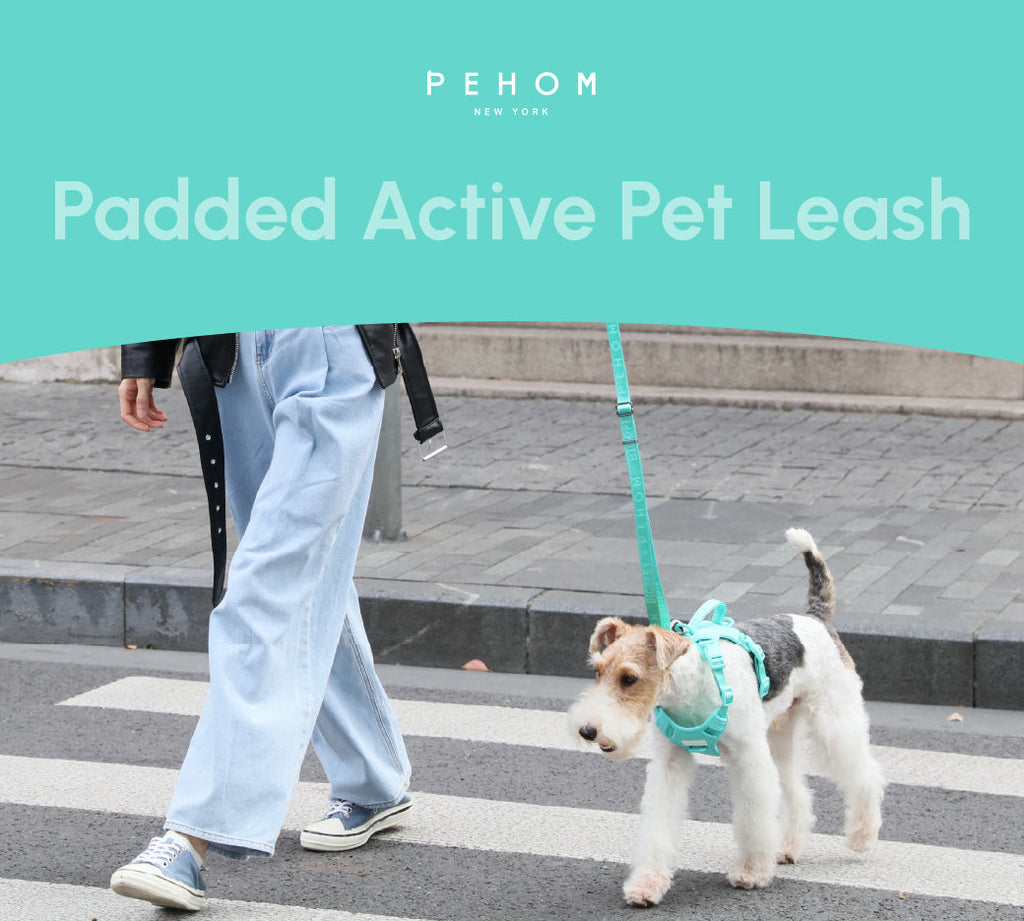 Durable Dog Leash with Padded Handle – Apricot, Mint Purple, Mint Green