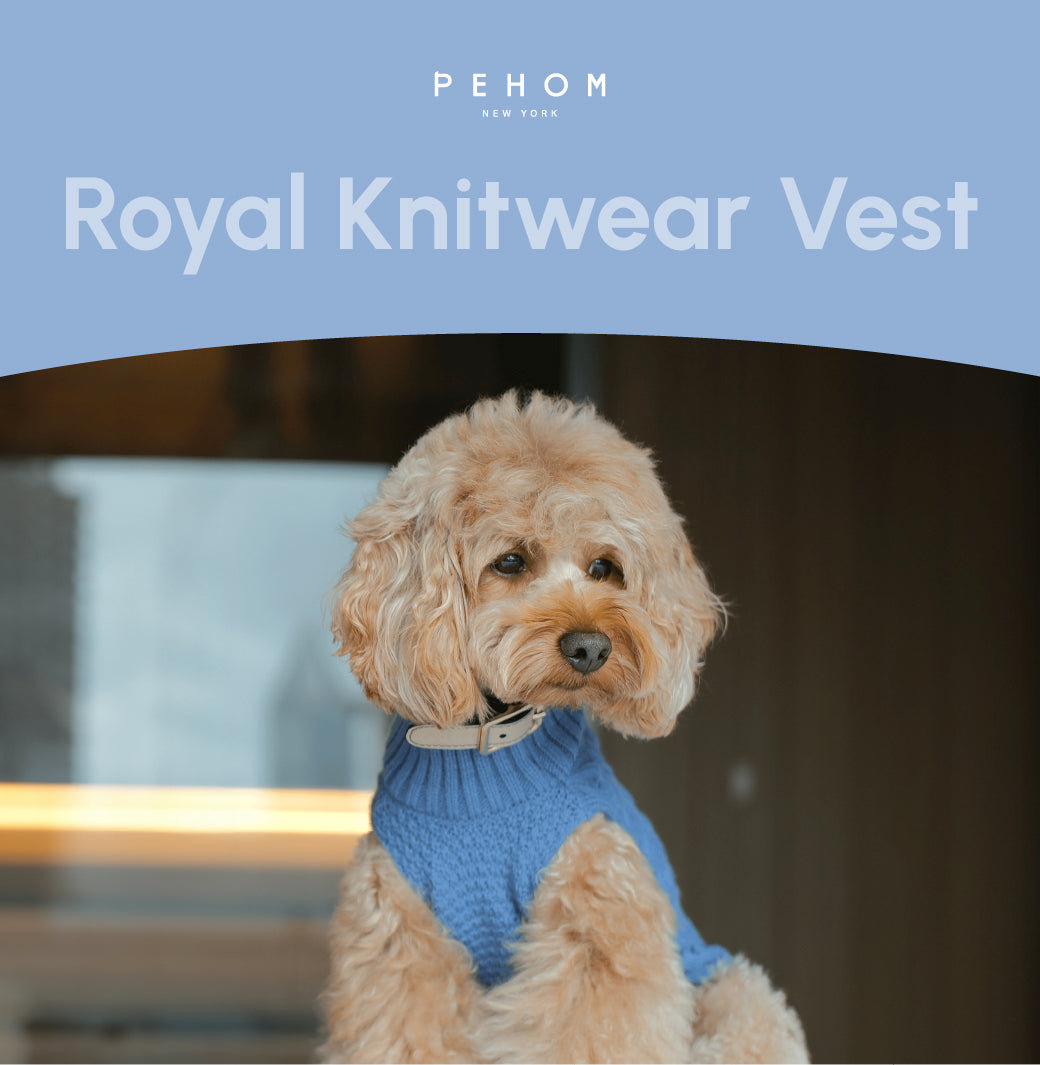 Knit Pet Sweater in Breathable Acrylic Fiber