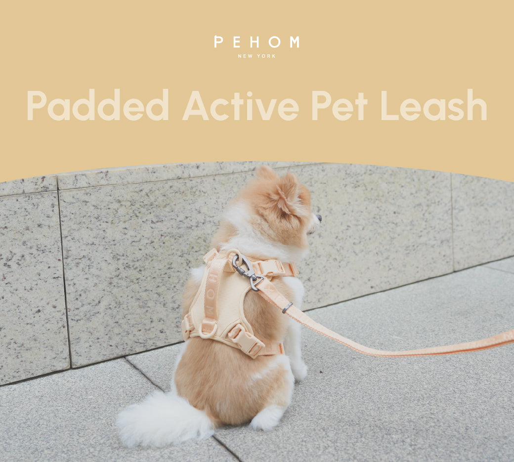 Durable Padded Dog Leash with Reinforced Stitching – Apricot, Mint Purple, Mint Green