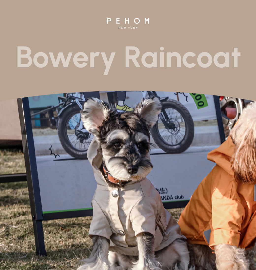 Water-Repellent Dog Jacket with Adjustable Belt and Back Pocket