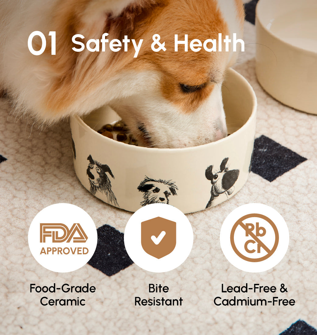 Ceramic Pet Bowl with Non-Slip Silicone Base