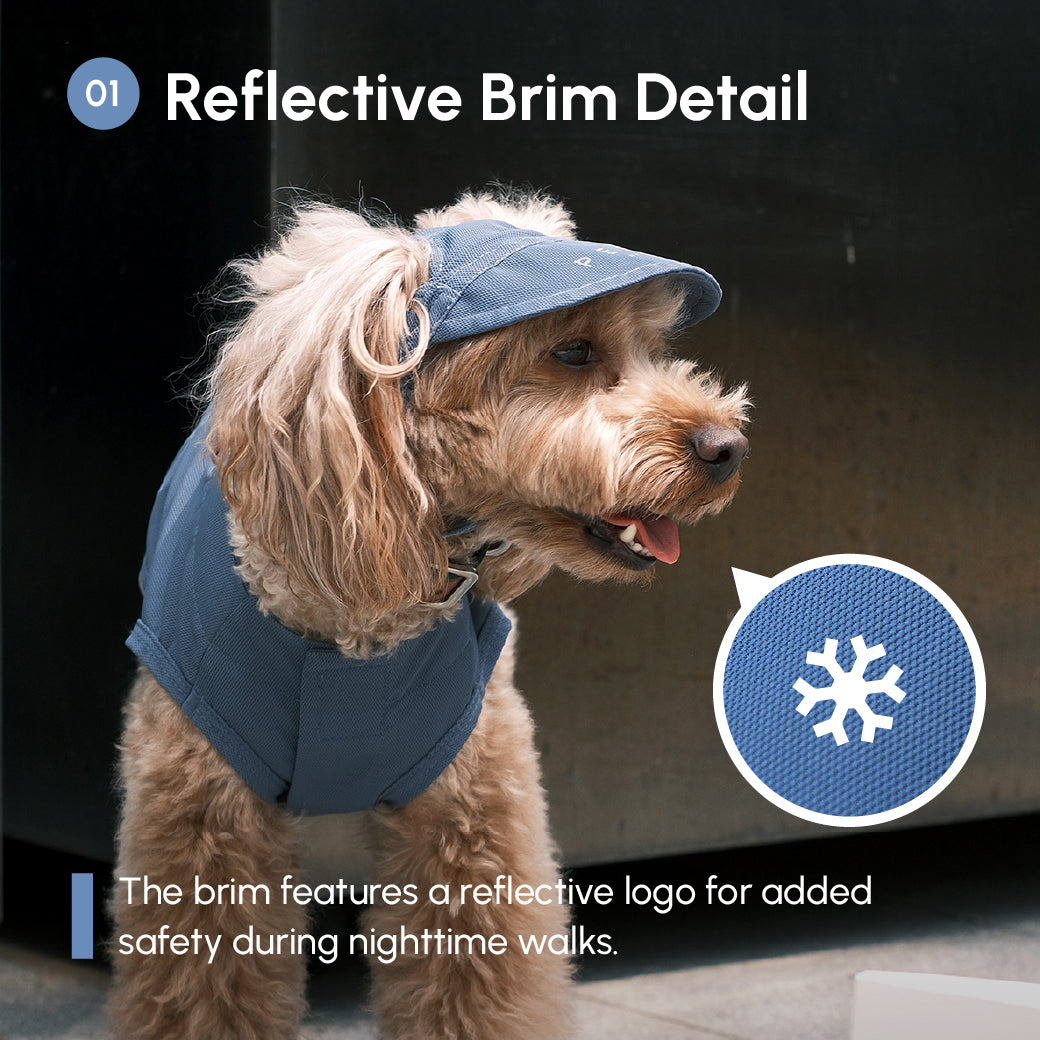 Reflective Brim Knit Pet Hat with Adjustable Chin Strap