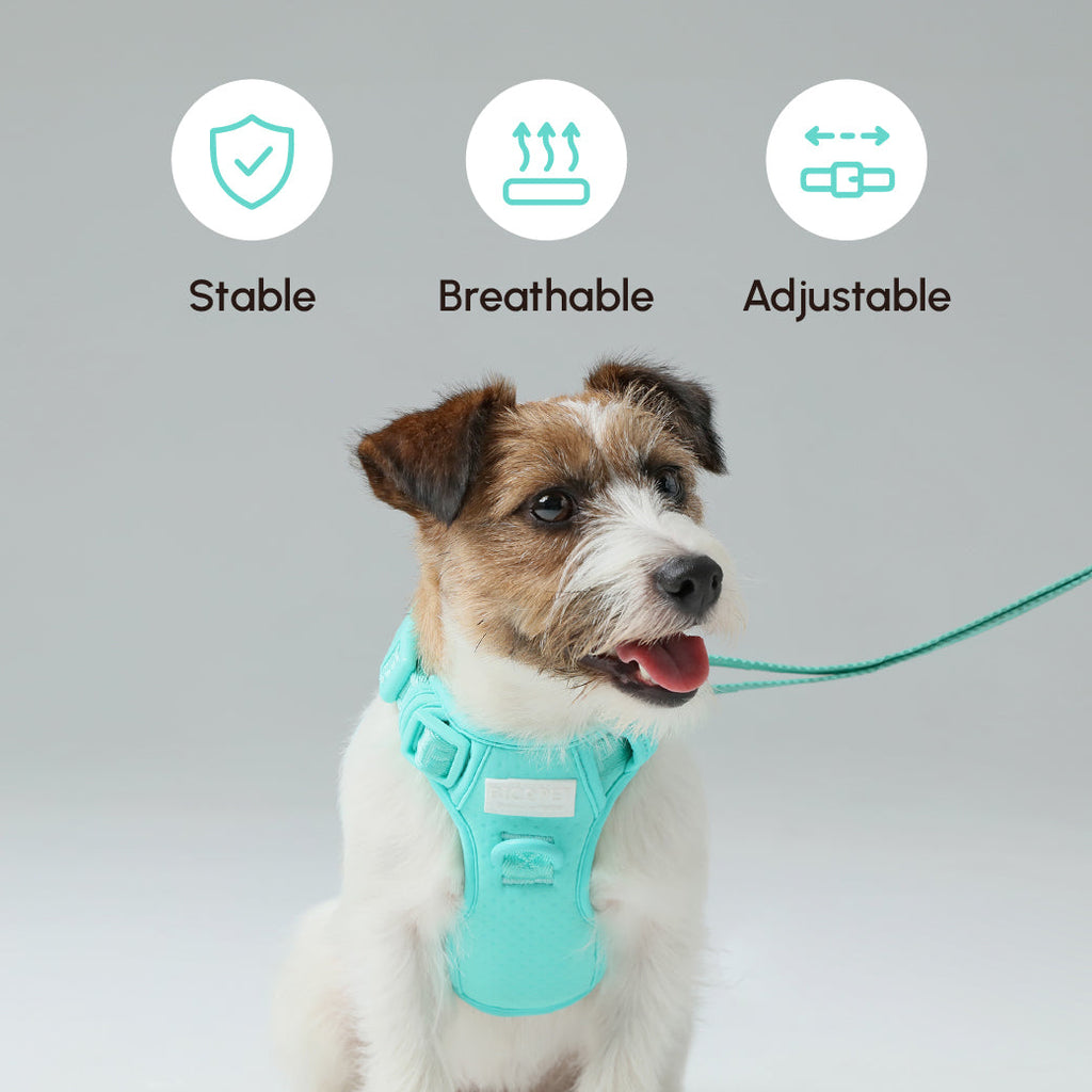 Durable Dog Leash with Padded Handle – Apricot, Mint Purple, Mint Green