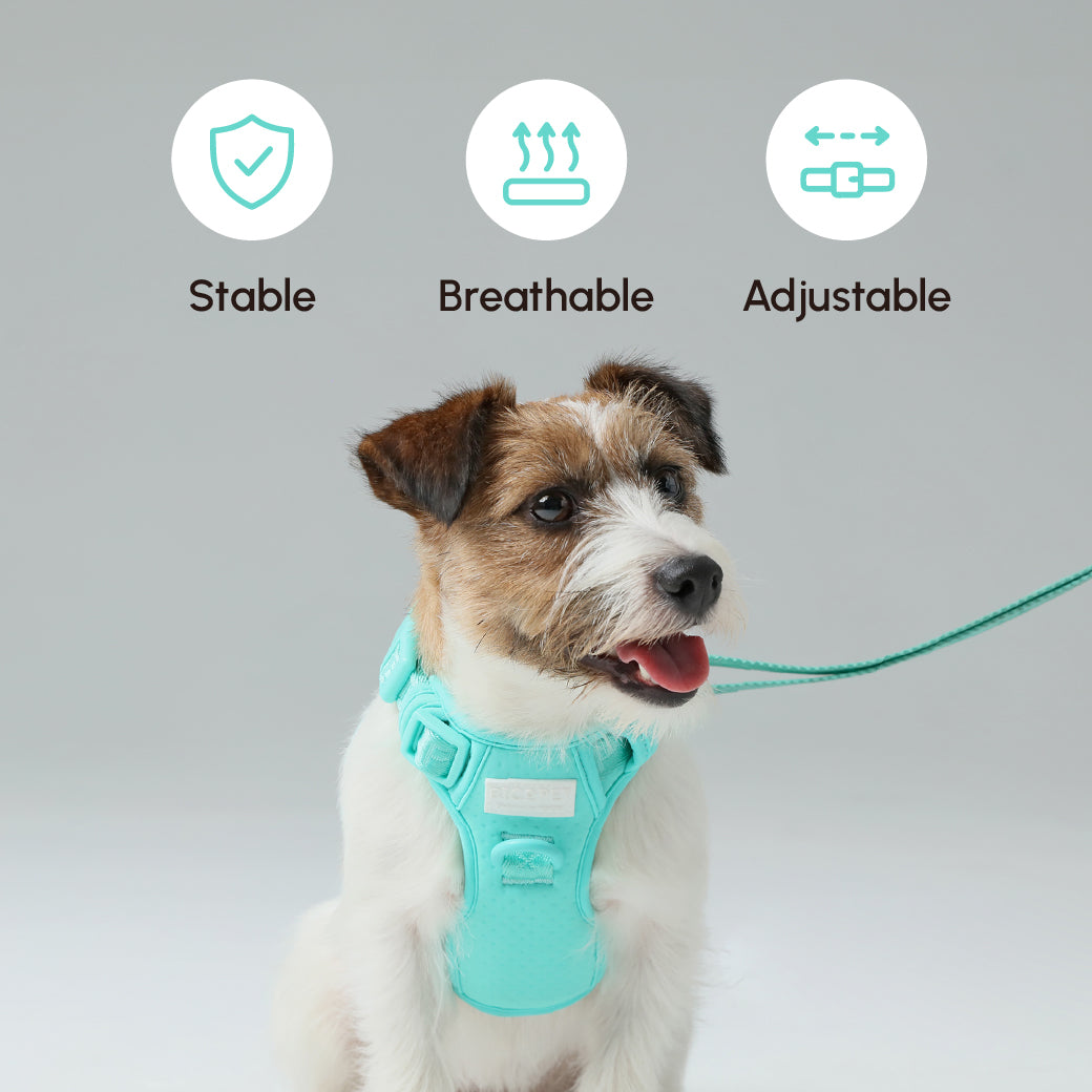Durable Dog Leash with Padded Handle – Apricot, Mint Purple, Mint Green