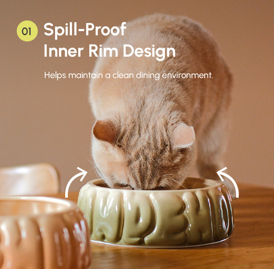 Ceramic Pet Bowl with Spill-Proof Rim, Olive Gradient, 25.4 fl oz