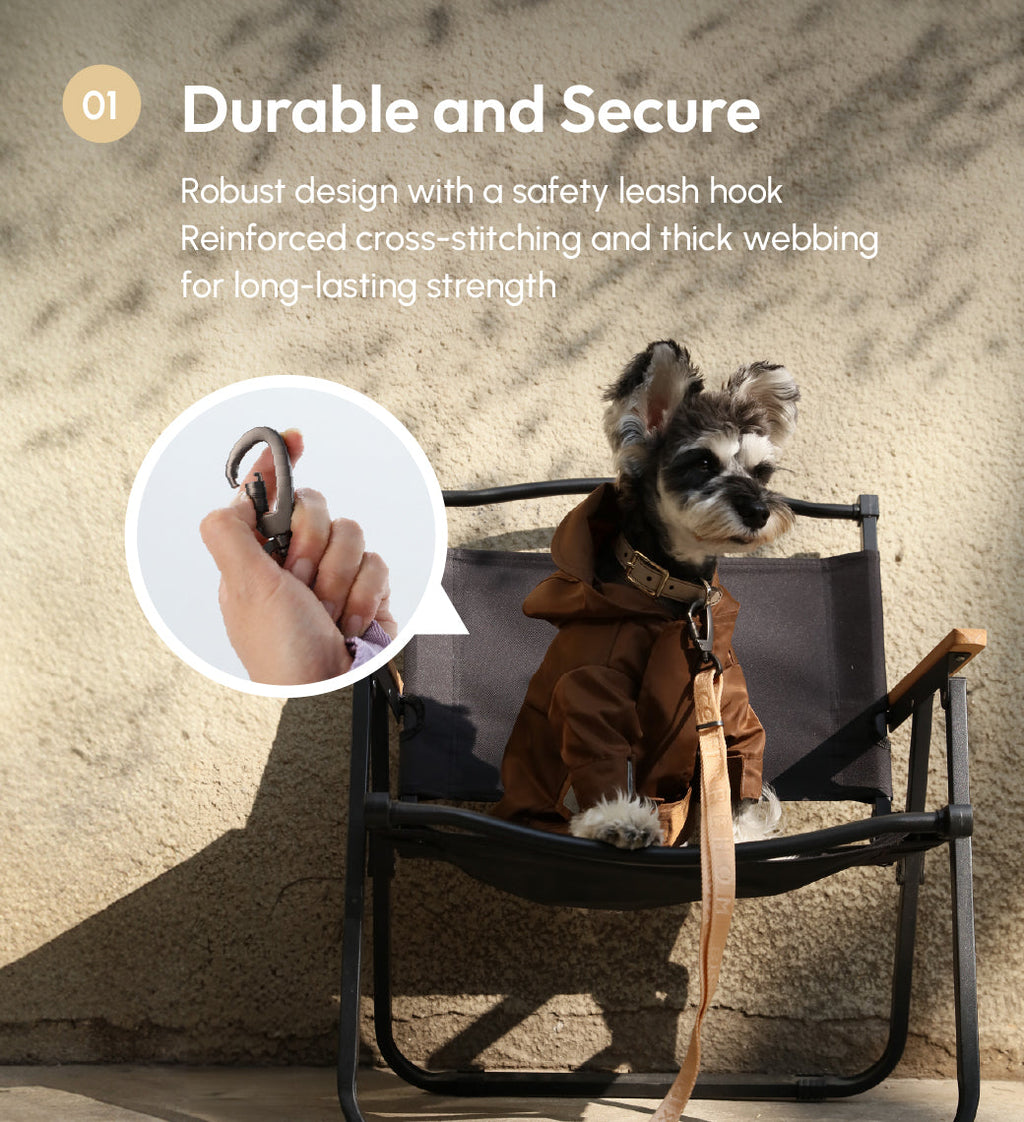 Durable Padded Dog Leash with Reinforced Stitching – Apricot, Mint Purple, Mint Green