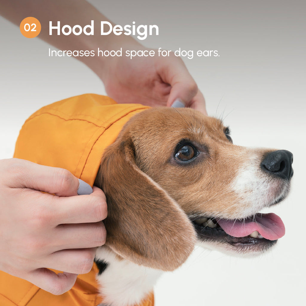 Water-Repellent Dog Jacket with Adjustable Belt and Back Pocket