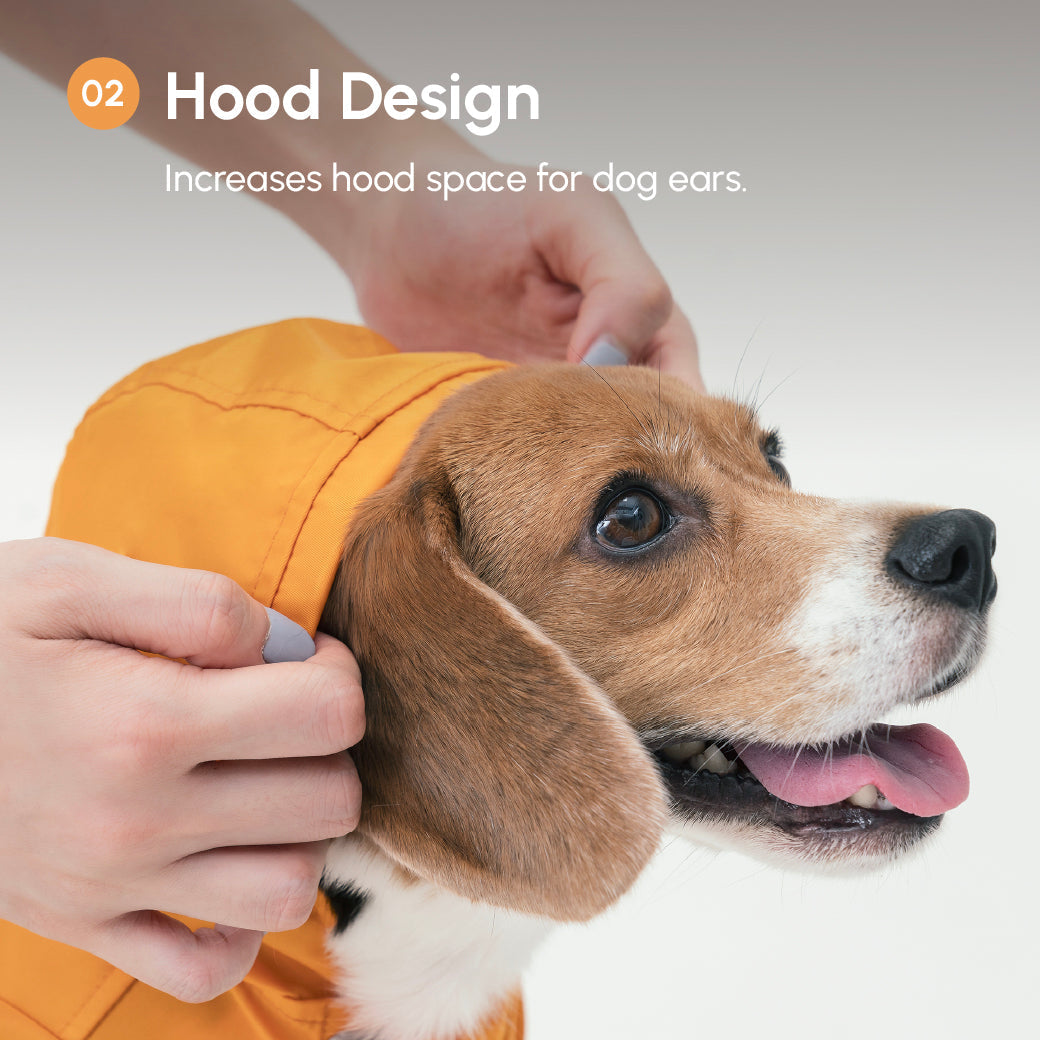 Water-Repellent Dog Jacket with Adjustable Belt and Back Pocket