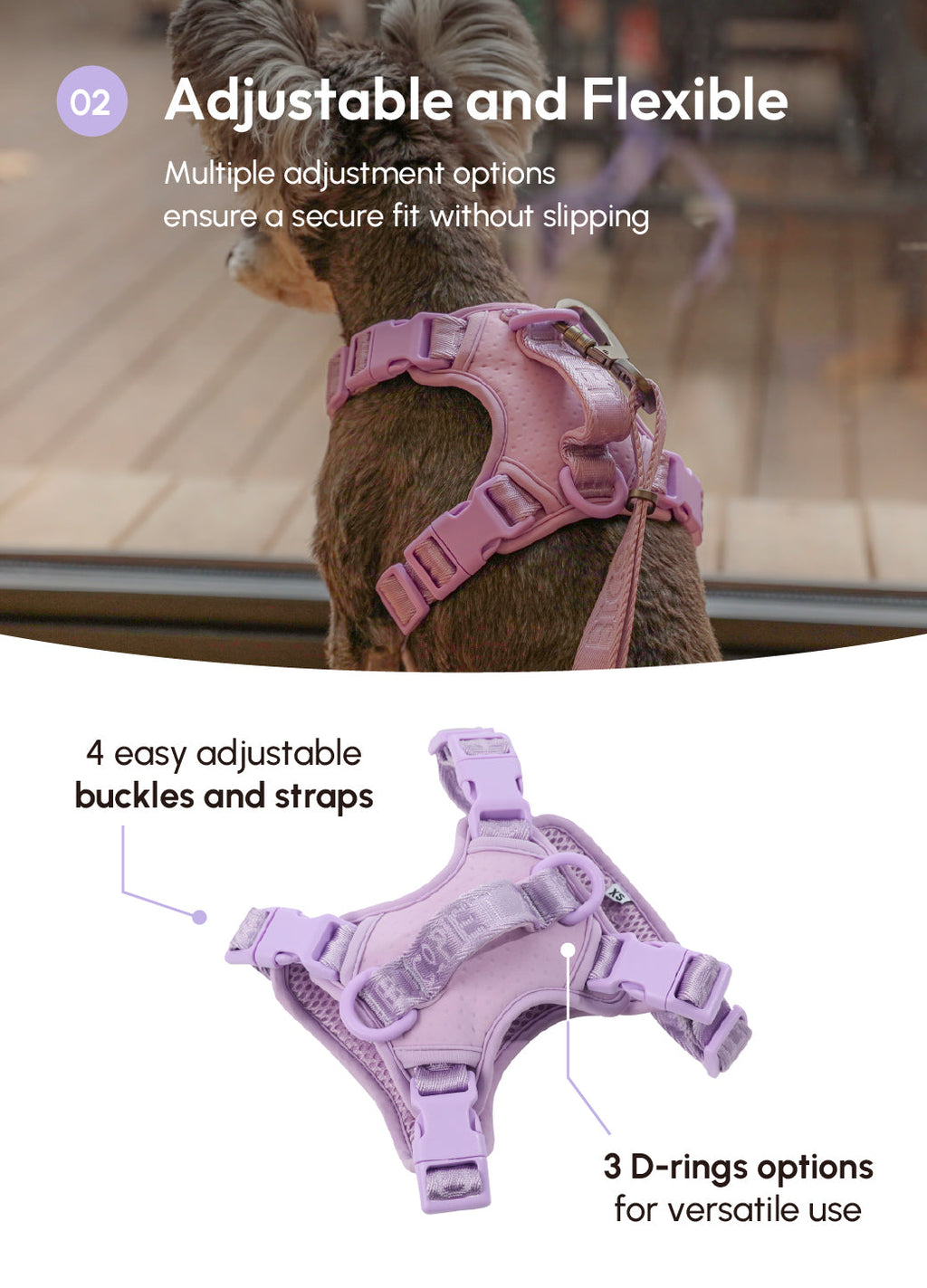 NO PULL ACTIVE  PET HARNESS - MINT PURPLE