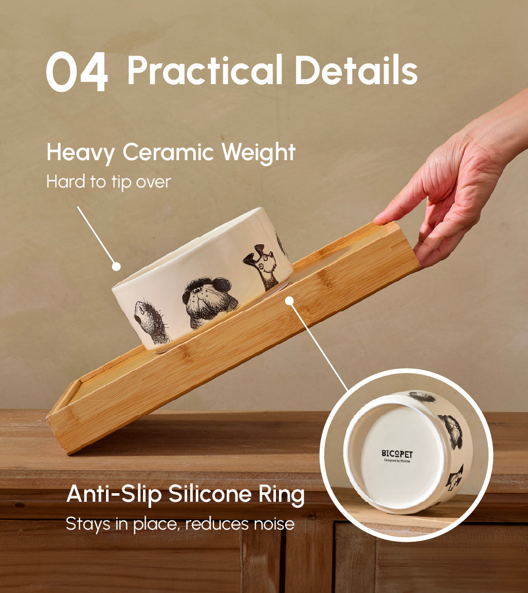 Ceramic Pet Bowl with Non-Slip Silicone Base