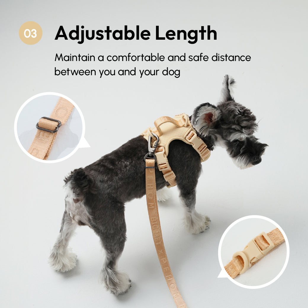 Durable Padded Dog Leash with Reinforced Stitching – Apricot, Mint Purple, Mint Green