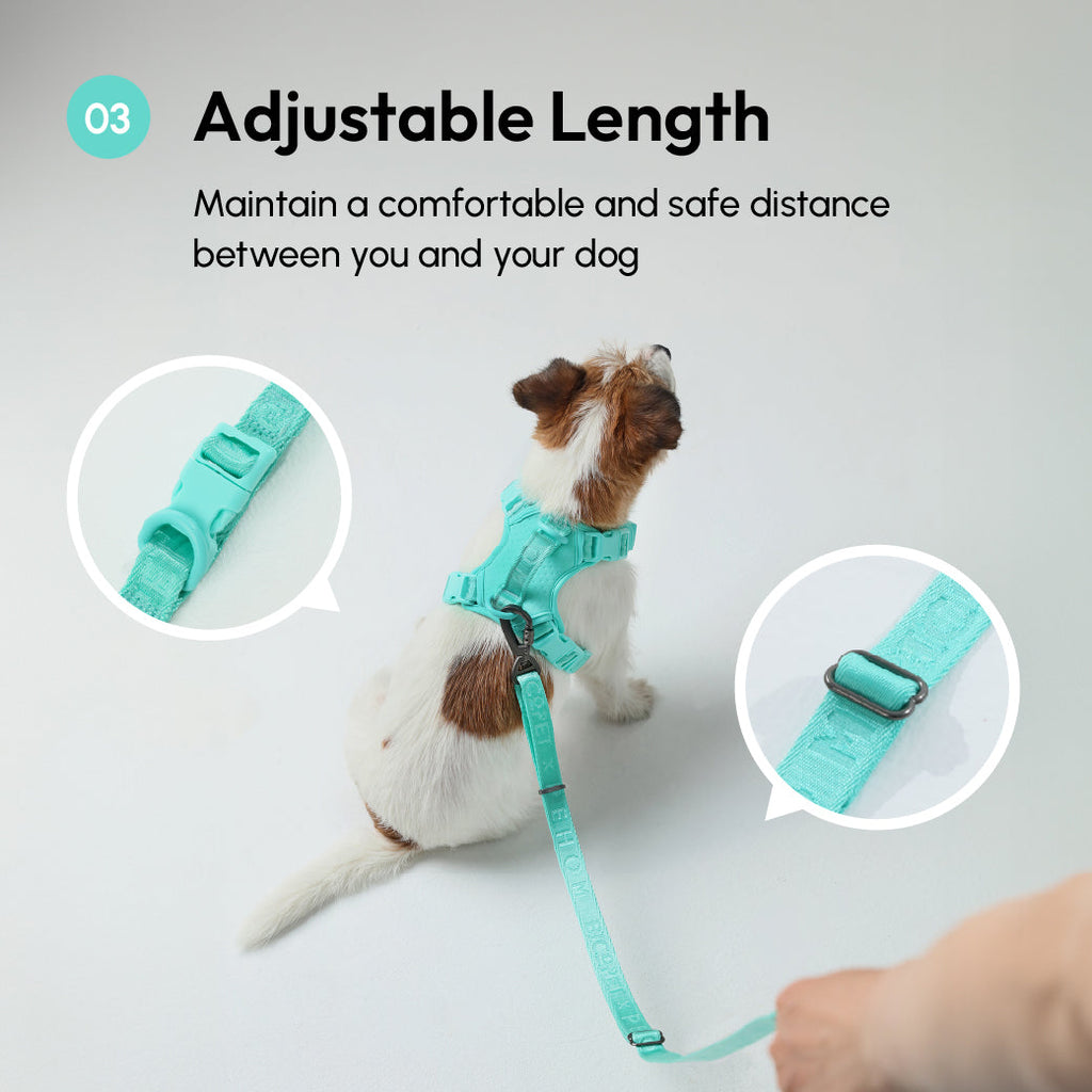 Durable Dog Leash with Padded Handle – Apricot, Mint Purple, Mint Green