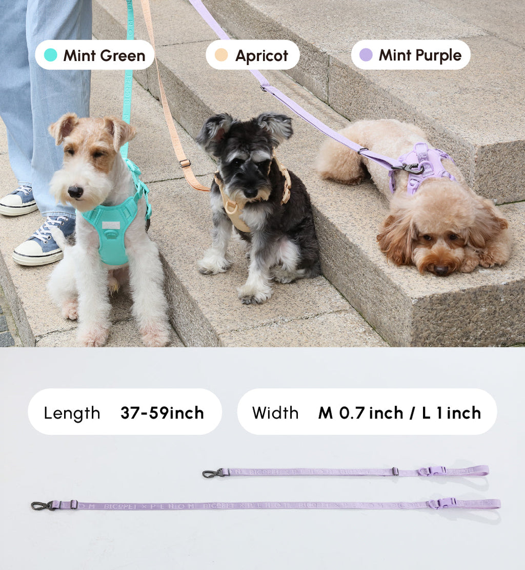 Durable Padded Dog Leash with Reinforced Stitching – Apricot, Mint Purple, Mint Green