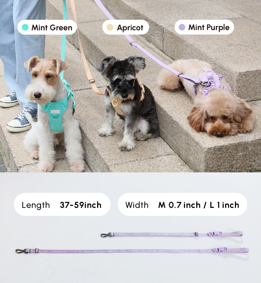 Durable Padded Dog Leash with Reinforced Stitching – Apricot, Mint Purple, Mint Green
