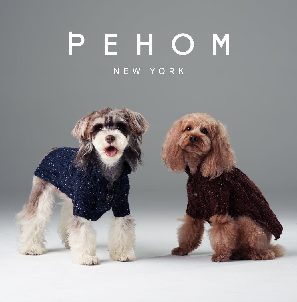 High-Neck Textured Knit Dog Sweater with Chest Buttons