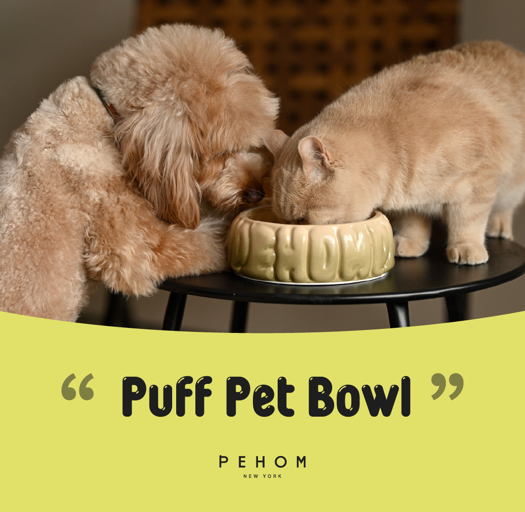 Ceramic Pet Bowl with Spill-Proof Rim, Olive Gradient, 25.4 fl oz