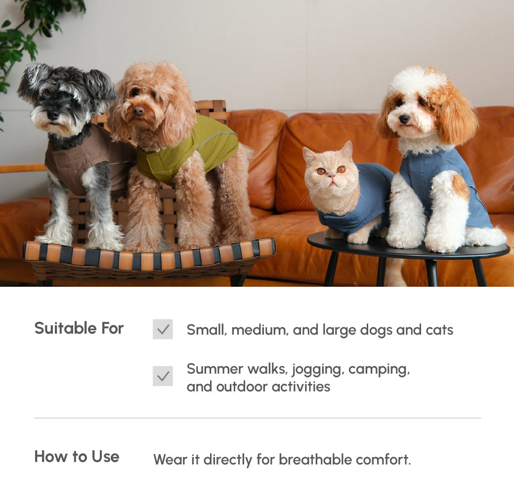 Lightweight Reflective Pet Raincoat with Adjustable Straps