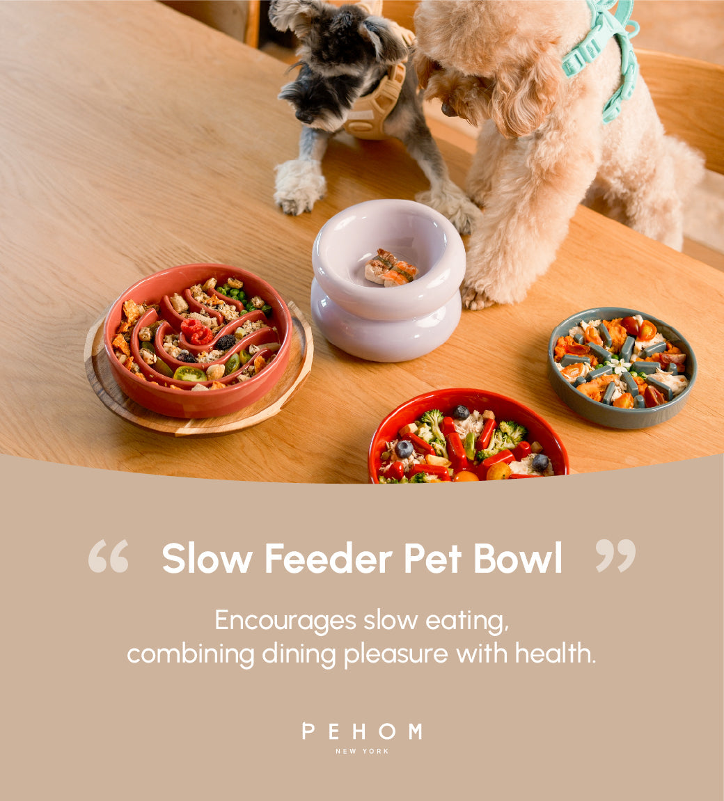 Ceramic Dog Bowl with Non-Slip Base and Optional Wooden Stand