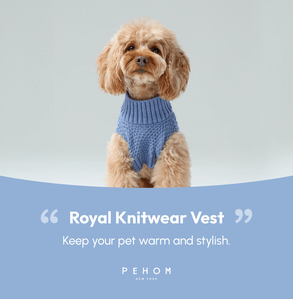 Knit Pet Sweater in Breathable Acrylic Fiber