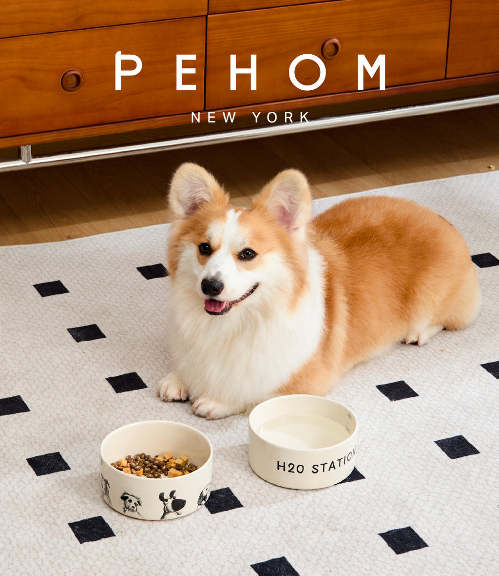 Ceramic Pet Bowl with Non-Slip Silicone Base